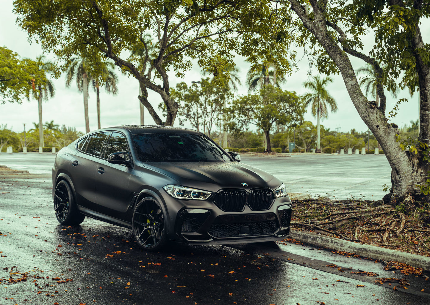 Black BMW X6 1-Piece VS EVO-41 Gloss Black  240807