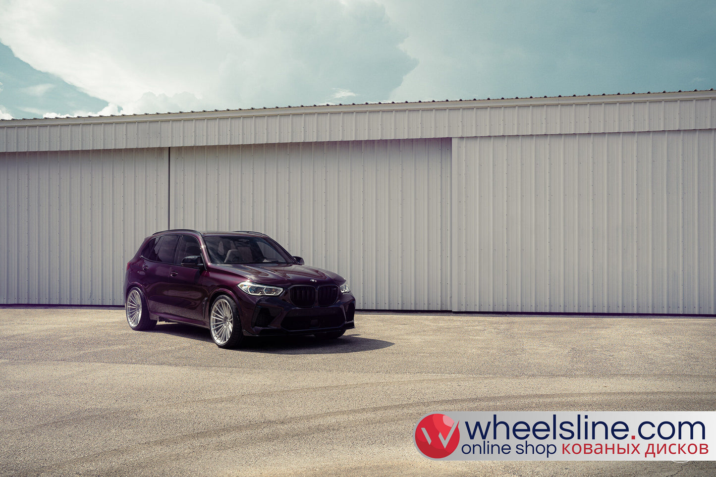 Purple BMW X5 1-Piece VS S17-041 Matte Brushed Silver  240821