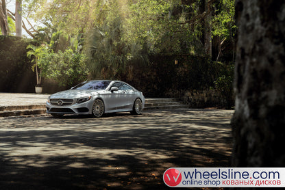 White Mercedes S 1-Piece VS S17-15T1 Polished Silver With Brushed Face Cap-B 240815